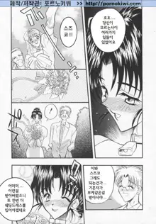 Megami no Furu Sato Ch. 1-5, 한국어