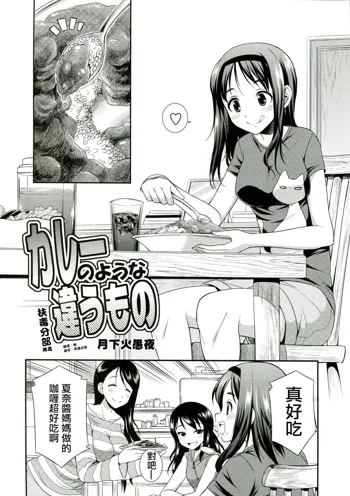 Curry no You na Chigau Mono, 中文