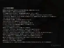 凌辱フォーカスライト, 日本語