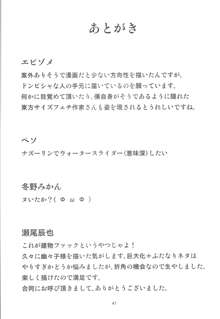 お前らが大きくなあれ! 東方巨人化合同誌, 日本語