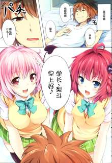 To LoVe-Ru Party, 中文