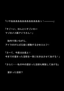 対魔アマゾネス 淫生物産卵・孕ませ調教!, 日本語