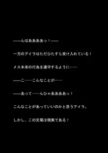 対魔アマゾネス 淫生物産卵・孕ませ調教!, 日本語