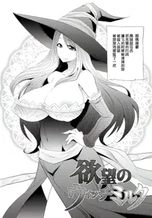 Yokubou no Witch's Milk, 中文