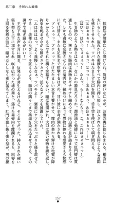 軍属麗奴ツバキ -淫れ散る三戦華-, 日本語