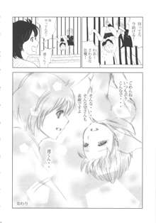 FLOUR 少女漫画グラフィティ, 日本語