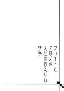 フェイトとクロノの人には言えない情事, 日本語