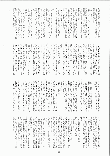 ミナモの月2 妖蛇蠢動, 日本語