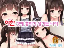 H na Koto ni Kyoumi ga Aru Otoshigoro, 한국어