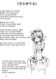 Jingai Shoujo tono Asa, 한국어