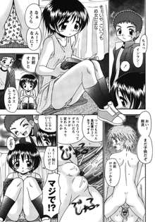 ボクっ娘と白いお腹, 日本語