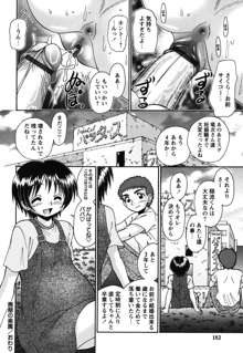 ボクっ娘と白いお腹, 日本語