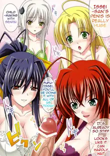 euphoria ~High School DxD~, English