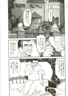 体内発射, 日本語