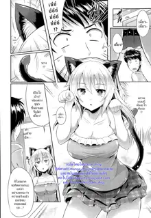 Neko.Kawaii desyo | Cat is cute, right?, ไทย