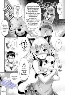 Neko.Kawaii desyo | Cat is cute, right?, ไทย