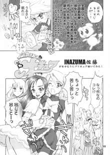 イナズマプリティウオーリア, 日本語