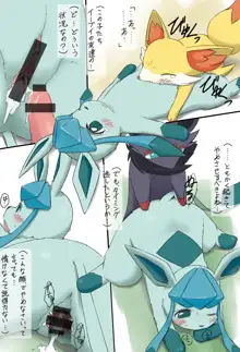 Glaceon 日常人生, 日本語