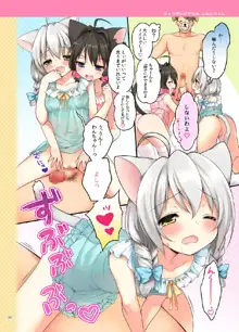 こねこちゃんでらっくす!, 日本語