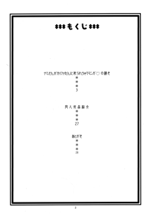 ナミの裏航海日誌2, 日本語