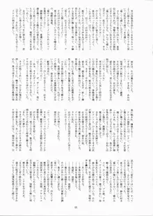 ミナモの月4 姫翼背理, 日本語