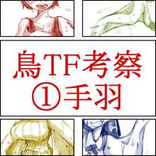 鳥TFに関する考察と練習, 日本語