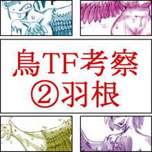 鳥TFに関する考察と練習, 日本語