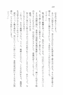 セーラー・バニーX ウサ耳女子高生♡危ない体験, 日本語