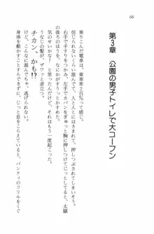 セーラー・バニーX ウサ耳女子高生♡危ない体験, 日本語