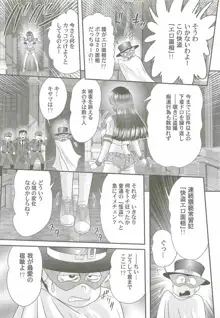 美少女探偵対怪人エロ面相, 日本語