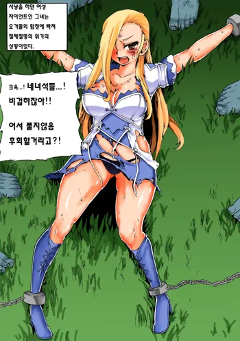 マビノギ ERO!!!, 한국어