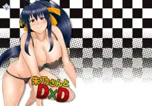 Akeno-san to DxD, 中文