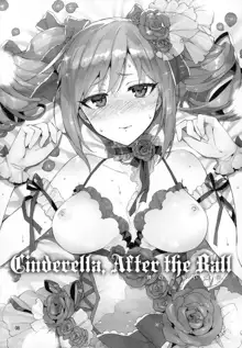 Cinderella, After the Ball ~Boku no Kawaii Ranko~, 中文