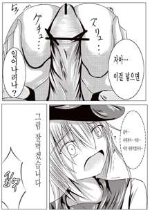 Hibiki wa Nete Iru You Desu, 한국어