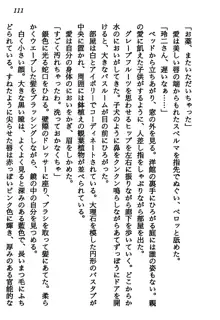 マーメイド☆プリンセス 南の海より愛をこめて！, 日本語