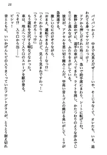 マーメイド☆プリンセス 南の海より愛をこめて！, 日本語