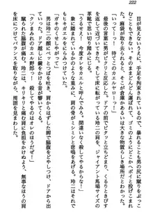 マーメイド☆プリンセス 南の海より愛をこめて！, 日本語