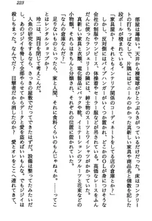 マーメイド☆プリンセス 南の海より愛をこめて！, 日本語