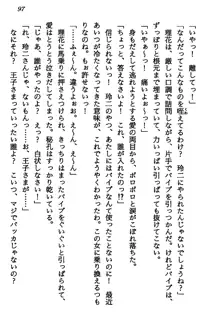 マーメイド☆プリンセス 南の海より愛をこめて！, 日本語