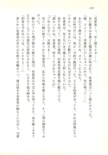 夢幻伝説☆澪 華麗なる淫魔の物語, 日本語