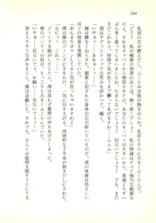 夢幻伝説☆澪 華麗なる淫魔の物語, 日本語