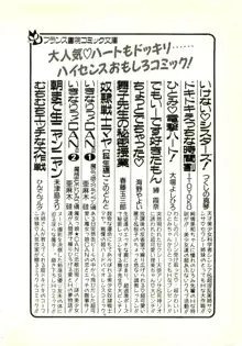 夢幻伝説☆澪 華麗なる淫魔の物語, 日本語