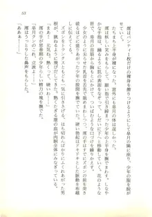 夢幻伝説☆澪 華麗なる淫魔の物語, 日本語