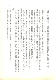 夢幻伝説☆澪 華麗なる淫魔の物語, 日本語