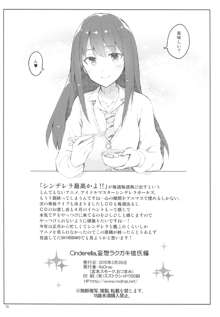 Cinderella,妄想ラクガキ彼氏編, 日本語