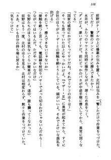 電脳エンジェル！ 天使の微笑が夢を殺す, 日本語