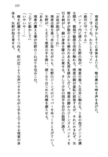 電脳エンジェル！ 天使の微笑が夢を殺す, 日本語