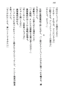 電脳エンジェル！ 天使の微笑が夢を殺す, 日本語