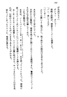 電脳エンジェル！ 天使の微笑が夢を殺す, 日本語