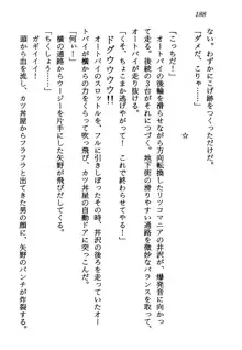 電脳エンジェル！ 天使の微笑が夢を殺す, 日本語